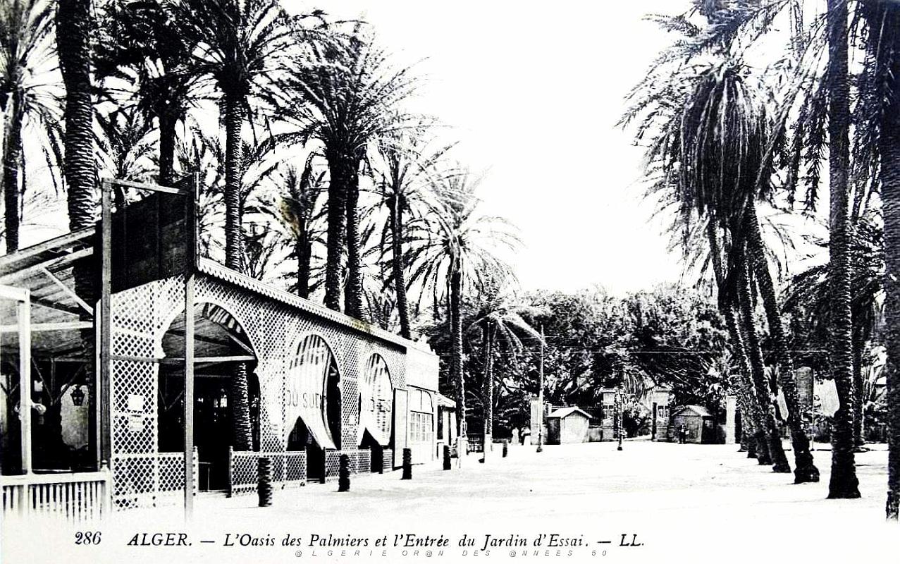 Alger - Oasis des palmiers et entree du jardin d'essai.jpg